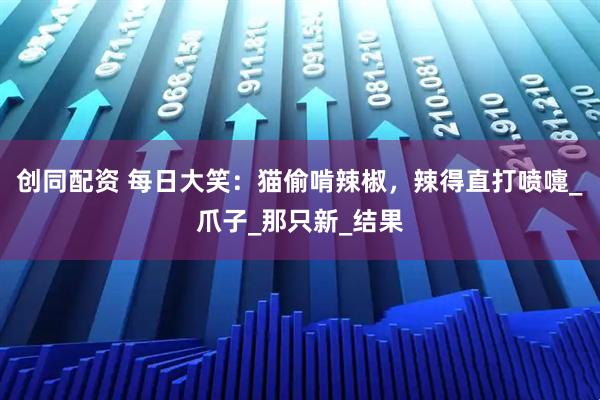 创同配资 每日大笑：猫偷啃辣椒，辣得直打喷嚏_爪子_那只新_结果
