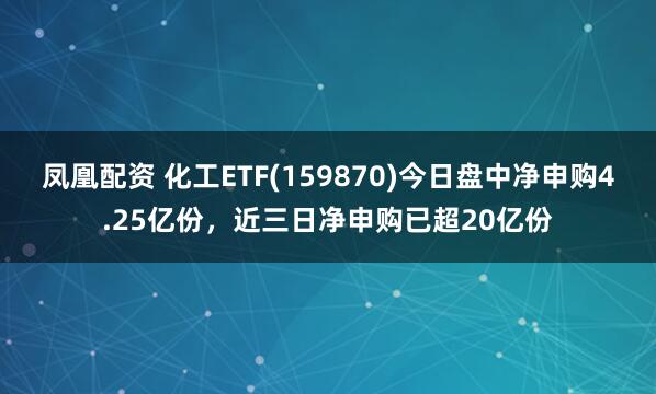 凤凰配资 化工ETF(159870)今日盘中净申购4.25亿份，近三日净申购已超20亿份