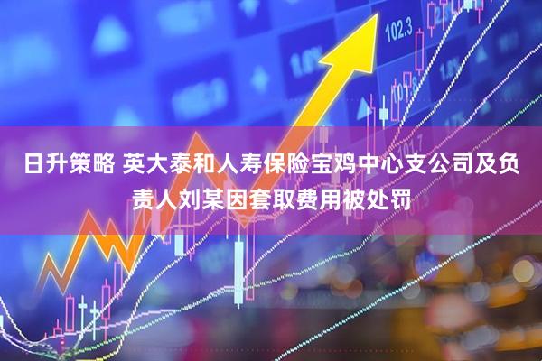 日升策略 英大泰和人寿保险宝鸡中心支公司及负责人刘某因套取费用被处罚