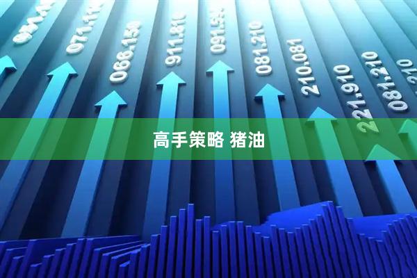 高手策略 猪油
