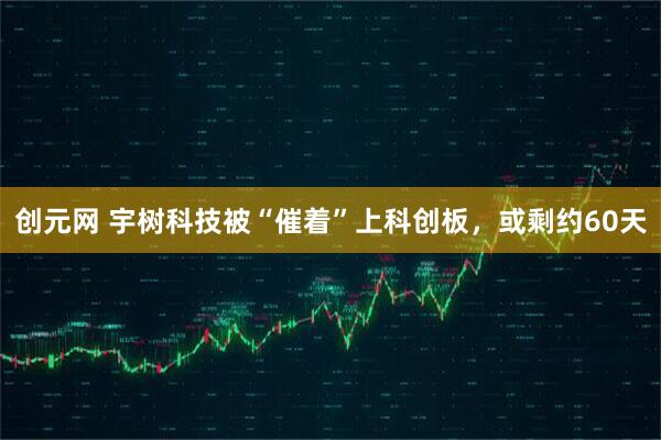 创元网 宇树科技被“催着”上科创板，或剩约60天