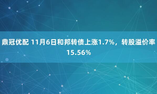 鼎冠优配 11月6日和邦转债上涨1.7%，转股溢价率15.56%