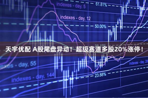 天宇优配 A股尾盘异动!超级赛道多股20%涨停!