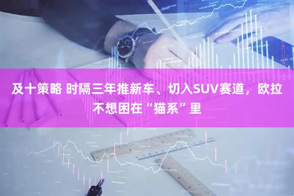 及十策略 时隔三年推新车、切入SUV赛道，欧拉不想困在“猫系”里